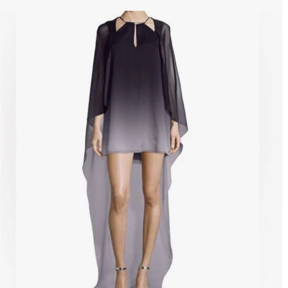Halston Heritage Halter Ombre Dress 
Size :X small .